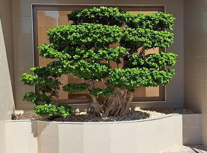 Esmeralda Seaview-suites Διαμέρισμα *